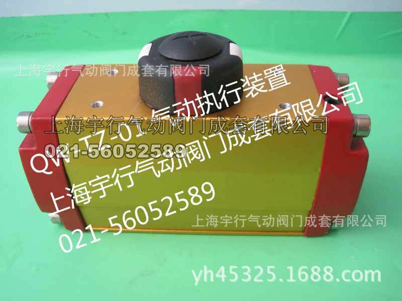 QW-TZ04气动执行器老款**气缸(图2)