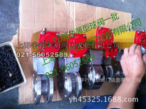 QW-TZ04气动执行器老款**气缸(图18)