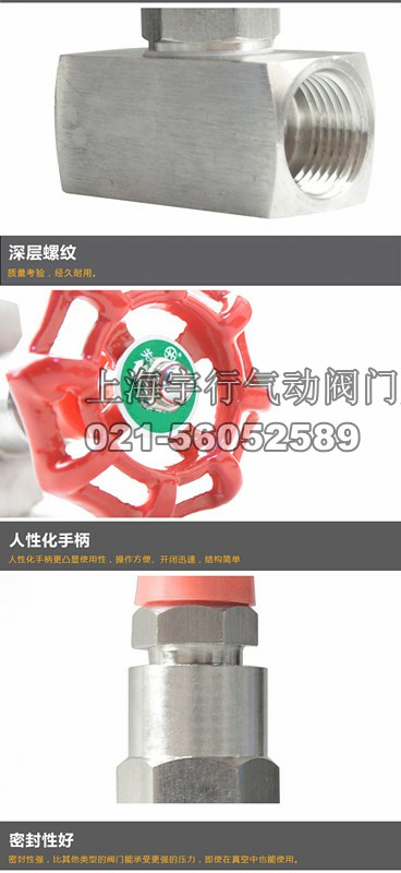 201/304不锈钢针型阀高压截止阀硬密封截止阀丝口内螺纹J13W-160P(图5)