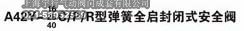 A42Y型弹簧全启封闭式安全阀(图2)